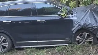 киа впаялась в дерево! стало плохо, уснул, или посадил за руль не опытного водителя,педали попутал