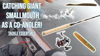 Tournament Tackle Analysis | Top 5 Lake Champlain Toyota Series