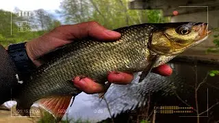 Мормышинг выручит даже в холодный Май