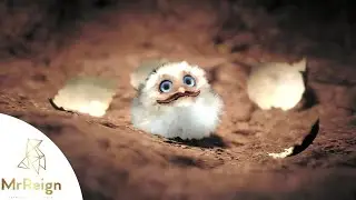 The Lord Of The Rings Gollum - Egg Hatching Guide - Bird Breeder - All Combinations
