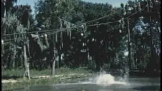 THIS IS PARRIS ISLAND