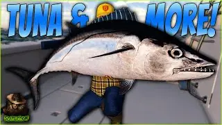 Tuna & More On The New Ocean Map Kaiji No Ri! Fishing Planet