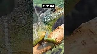 History of the Universe in 24 Hours! 
