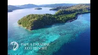 Welcome to Paradise !