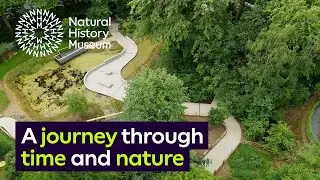 Discover London's new wildlife haven: A journey through time and nature