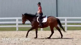 Send the Word - WTC