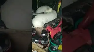 Установка дверей. Утечка пены в машине