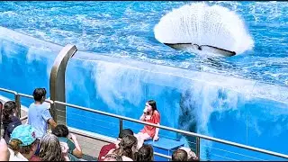 Crowd gets wet at Orca show, SeaWorld, San Diego, California