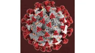 SARS-CoV-2 vaccine candidates not affected by D614G or other mutants