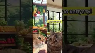 Капуста #животные #pet #animal #мем #animals #коты #мемныекоты #котыговорят #анекдот #кот #cats