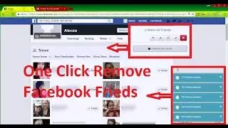 How to Remove Friends From Facebook ONE CLICK