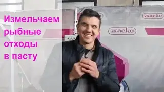 Рыбные отходы в доходы