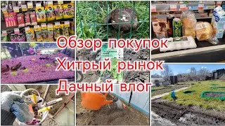 КУПИЛА  КУЛИЧ /ПРОГУЛКА ПО ПАРКУ / ПОСАДИЛА ЗЕЛЕНЬ /ПАСХА НА ДАЧЕ /7 мая 2024 г.