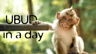 Ubud Bali Indonesia: Single Day Trip is Possible!