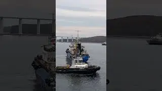 ,,Добрыня