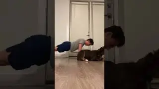 Dog does pushups