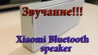 Xiaomi bluetooth speaker не может стоять на месте от 100Hz!