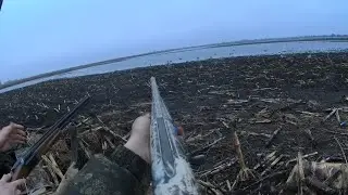 HUNTING FOR GOOSE AND DRAKE IN THE SWAMP!!! HOT SMOKED GOOSE - 