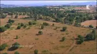 Des Racines et des Ailes aux Domaine des Bourines