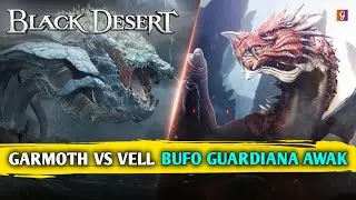 BUFO GUARDIANA BDO EVENTO GM Y EVENTO DE CORAZONES