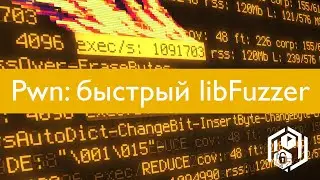 Pwn 23. Быстрый фаззинг с libFuzzer