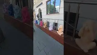На улицах Москвы. Где-то на Николоямской