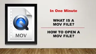 What is an MOV File and How To Open It In One Minute