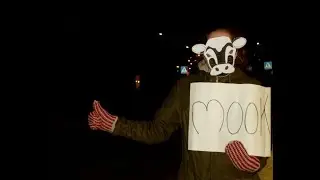 mook - dress my wounds
