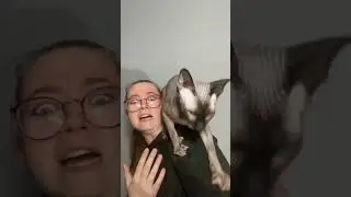 При сьемке видео ни один кит не пострадал🥹