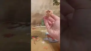 Обзор на вафельную трубочку с начинкой (сгущённое молоко) от 'Хуторок'