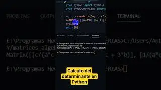 Calculo del determinante de una matriz en Python
