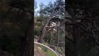 Beautiful ##status #shortvideo #video #instagram #s