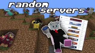 I rated your RANDOM Minecraft servers...