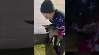 Брика и Дрика переезжают! 