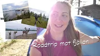 Roadtrip mot fjällen