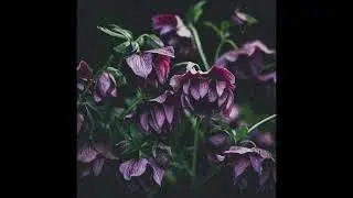 [FREE] J. Cole x Kendrick Lamar x Mac Miller x Isaiah Rashad x Logic Type Beat | 