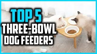 ✅Top 5 Best Three Bowl Dog Feeders On The Market In 2024 Reviews