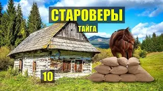 !!! ПЕРЕМЕН !!! ЖИЗНЬ в ДЕРЕВНЕ СТАРОВЕРЫ РАСКОЛЬНИКИ ДОМ в ЛЕСУ ИСТОРИИ из ЖИЗНИ РАССКАЗЫ СЕРИАЛ 10