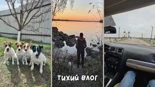 День из жизни переселенцев | Тихий влог