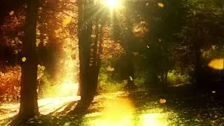 Flujo de Inspiración: Paisajes Sonoros para el Alma