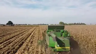 Trebbiatura mais 2021 - DKC 6808