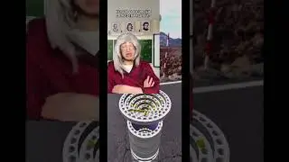 😅 Автор: 