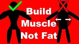 How to Be in a Calorie Surplus Without Getting Fat