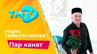 Радик Гыймазетдинов - Пар канат / лучшие татарские песни / тмтв