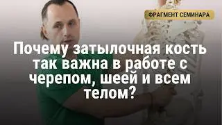 Паттерны черепа Балансировка свода черепа фрагмент семинара Михаила Перламонова