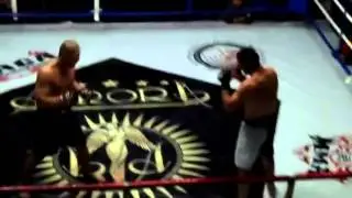 MMA  мощный бой бои без правил валетудо