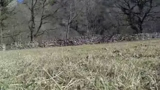 FPV fly high and Loops