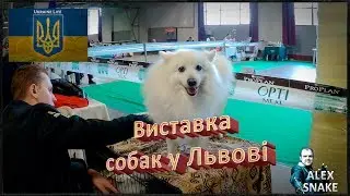 Міжнародна виставка собак у ТРЦ Південний