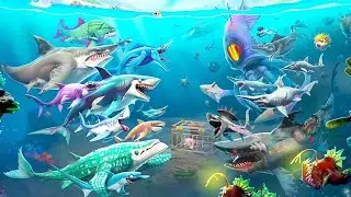 Memangsa atau di Mangsa - Hungry Shark !