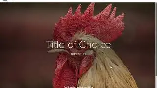 Adobe Spark - How to make a web page